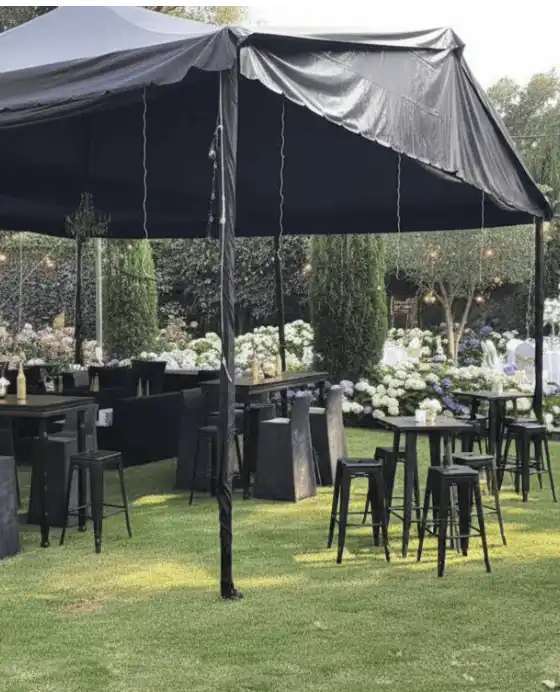 renta-de-carpa-negra renta de carpa negra